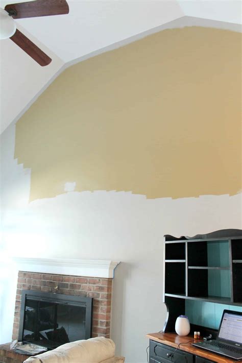 How to Get Rid of Mold and Mildew Before Painting Your House